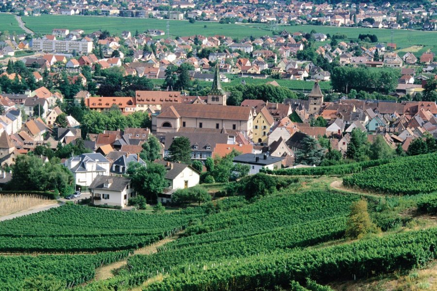 La ville de Turckheim Irène ALASTRUEY - Author's Image