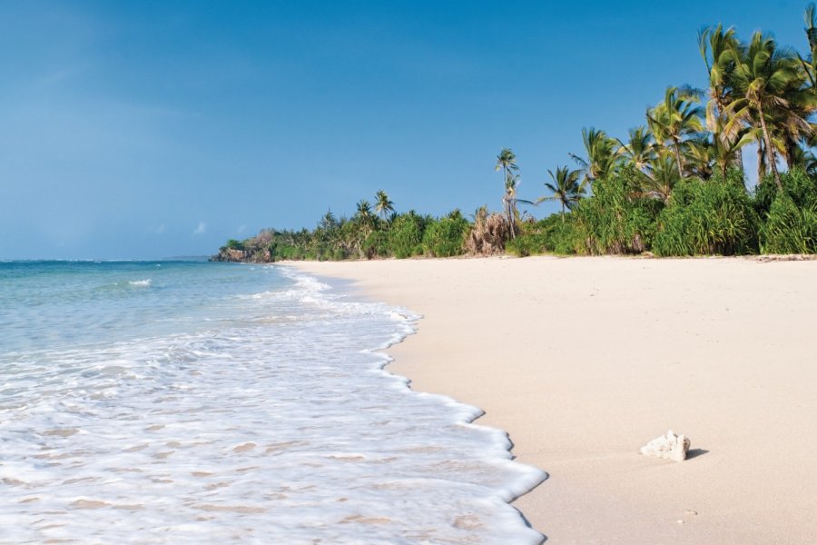 Plage de Msambweni, près de Diani georgeclerk - iStockphoto.com