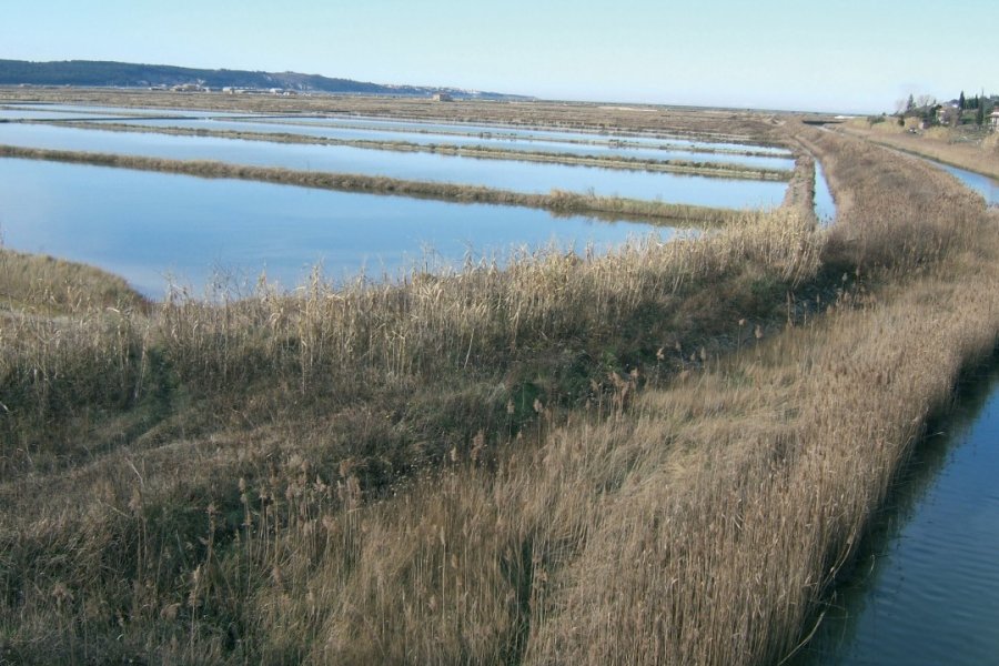 Marais salants à la frontière croate. Stéphan SZEREMETA