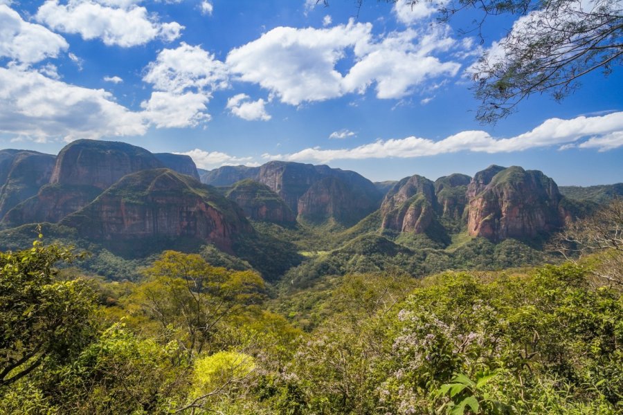 Parc nacional Amboro. Juan Pablo Bueno / Shutterstock.com