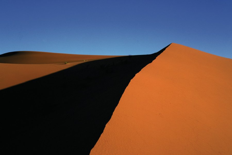 Les dunes de Merzouga. Author's Image
