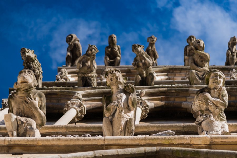 Eglise Notre-Dame, Dijon. Philippe / Adobe Stock