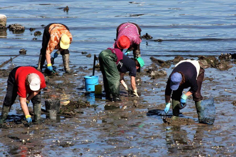Femmes ramassant des fruits de mer à La Corogne. Munimara - Shutterstock.com