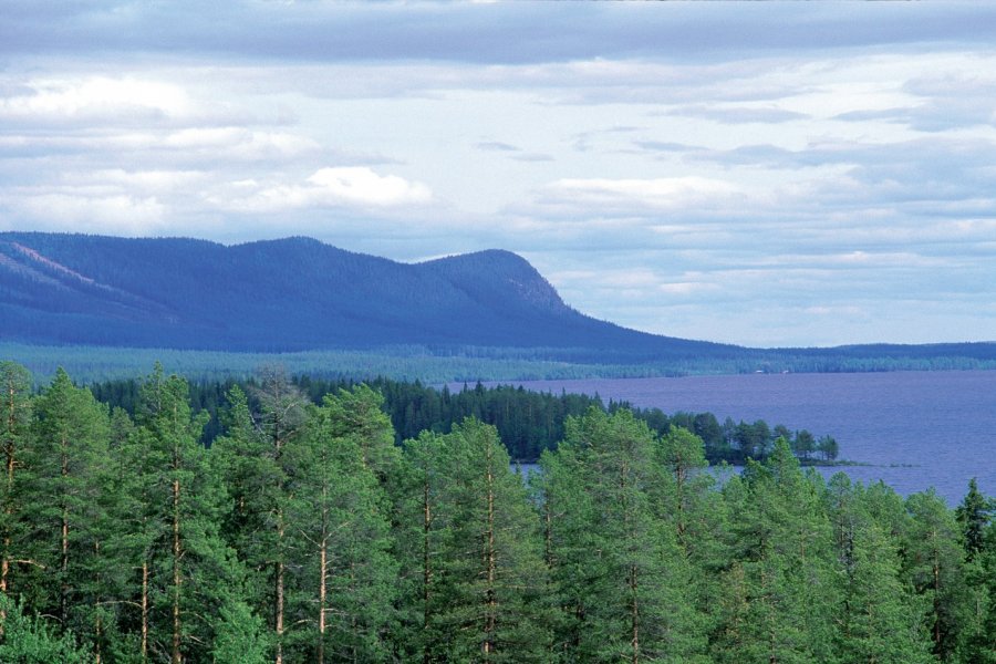 Paysage à Saxnäs. Thierry Lauzun - Iconotec