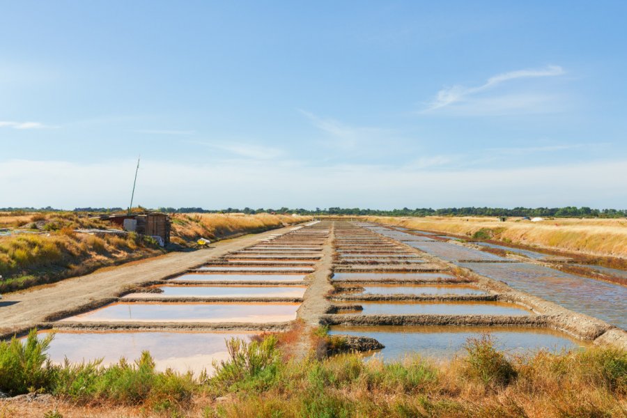 Marais Salant. zzzz17 - Adobe Stock