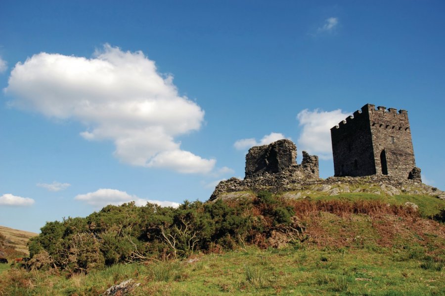 Dolwyddelan Castle Harvey Hudson - Fotolia