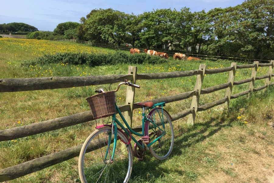 La circulation sur Sercq ne se fait qu'à pied ou à vélo ! Eva Leonard - Shutterstock.com