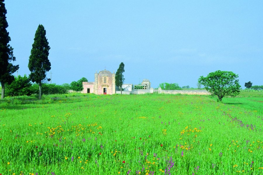 Paysage à Maglie. Cyril BANA - Author's Image