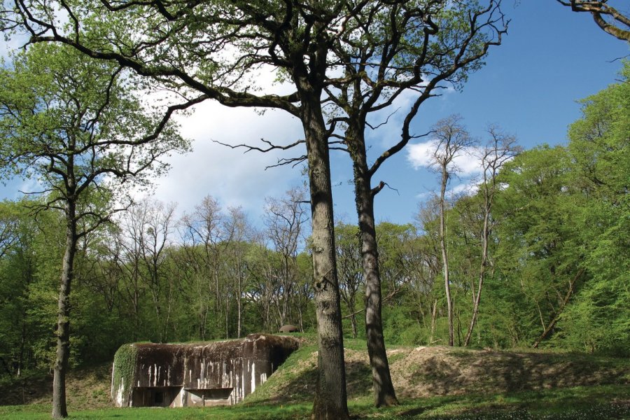 Entrée des hommes du Kobenbusch sur le site fortifié du Bois de Cattenom Philippe SCHMALTZ