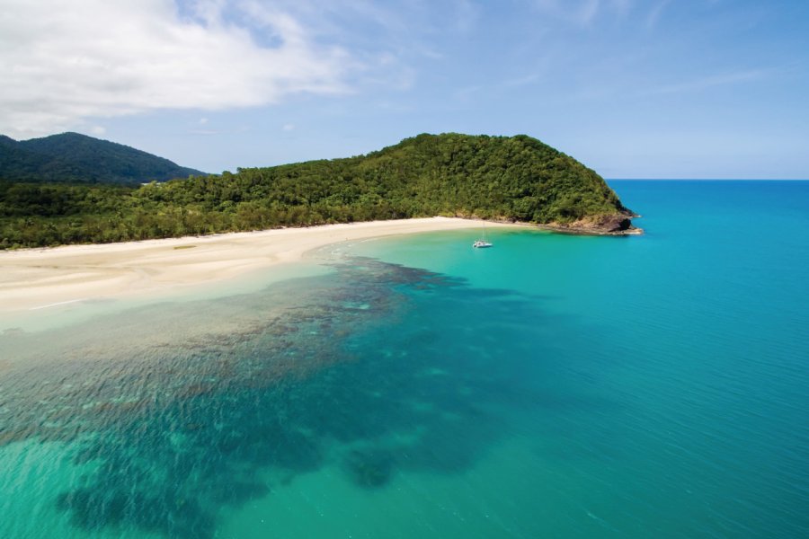 Cape Tribulation