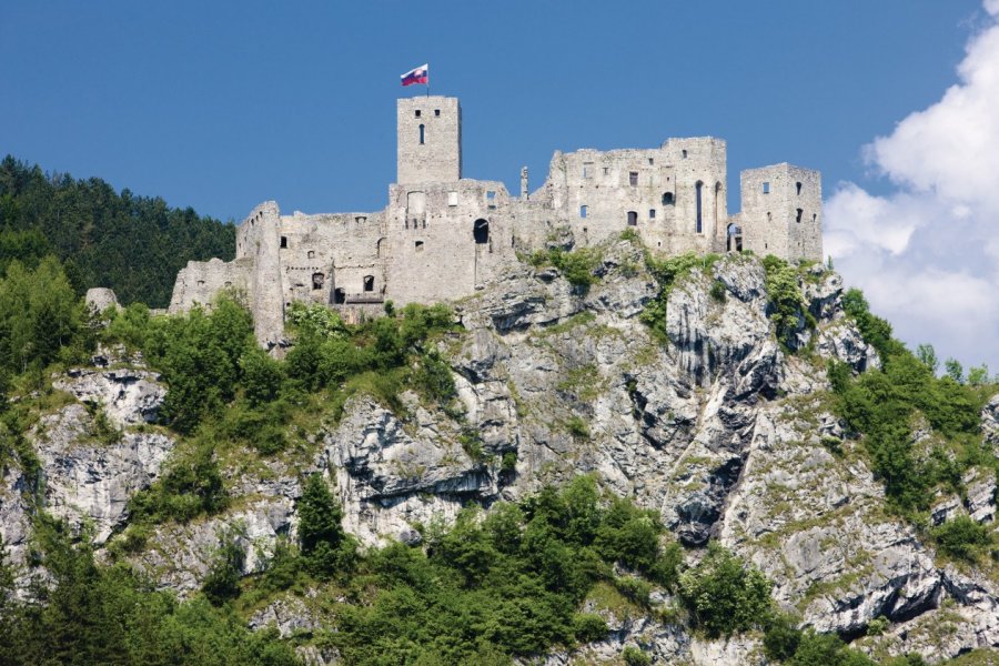 Château de Strečno. PHB.cz - Fotolia