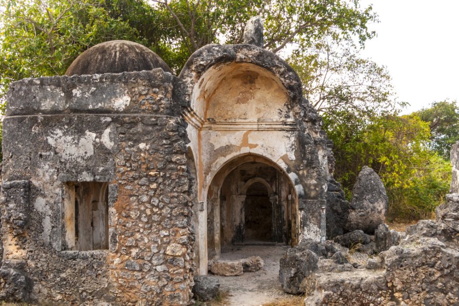 Ruines de Kilwa Kisiwani. travelview - Shutterstock.com
