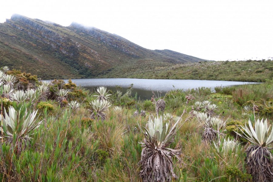Laguna de Siecha, Parque Nacional Chingaza. Nicolas LHULLIER