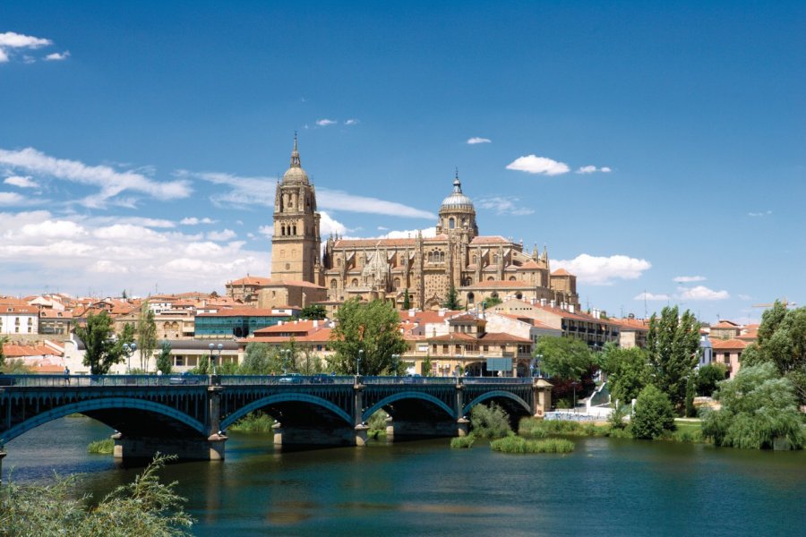 Vue sur Salamanque et la Nouvelle Cathédrale (Catedral Nueva). Author's Image