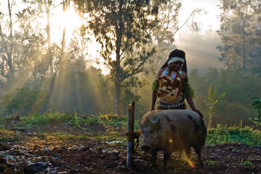 Une femme de l'ethnie Kalam prépare son cochon pour le sacrifice d'une cérémonie d'initiation. (© Philippe Gigliotti))