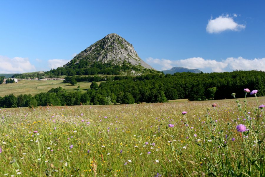 Les Monts d'Ardèche. into the wild - stock.adobe.com