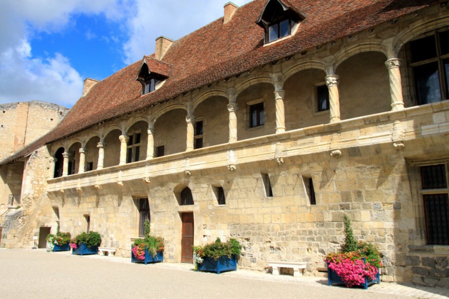 Le château de Nérac. vouvraysan - iStockphoto.com