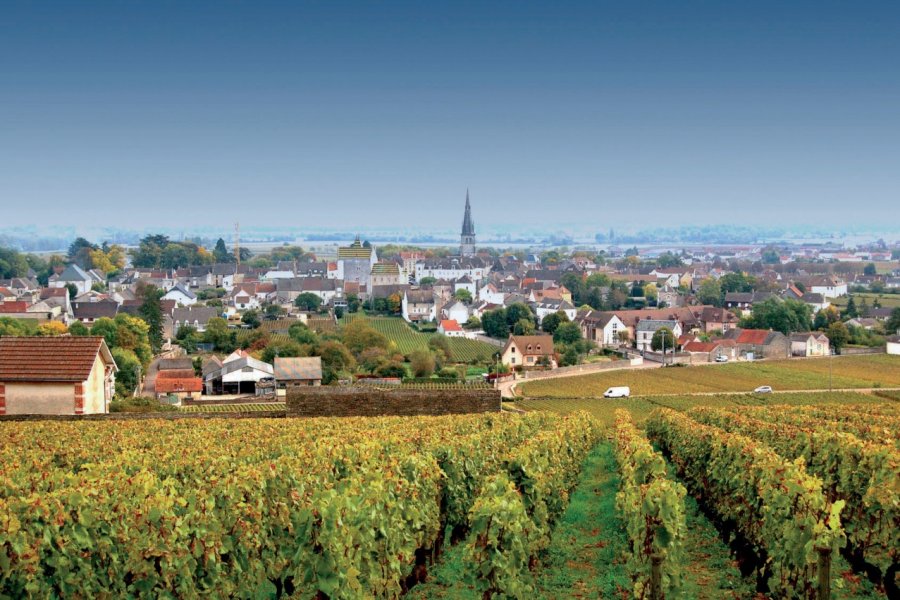 Vue générale de Meursault OLIVIER PONCELET - FOTOLIA