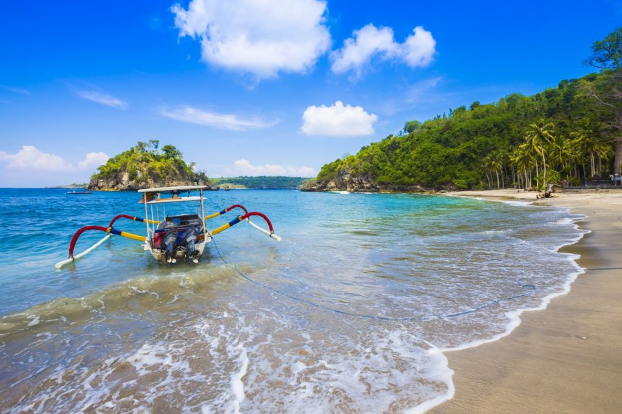 Nusa Penida. Trubavin / Shutterstock.com