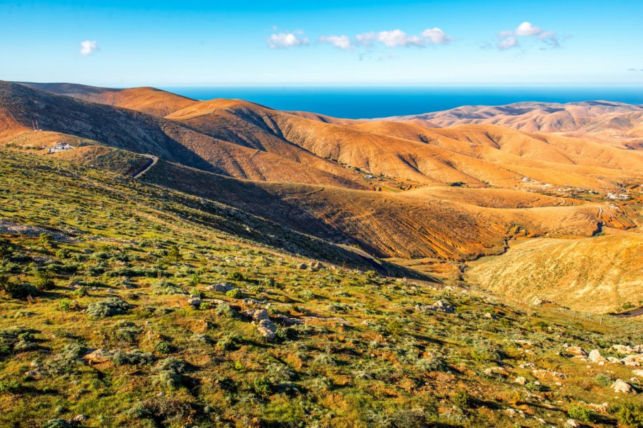 Vue aérienne de Fuerteventura. rh2010 - AdobeStock.com