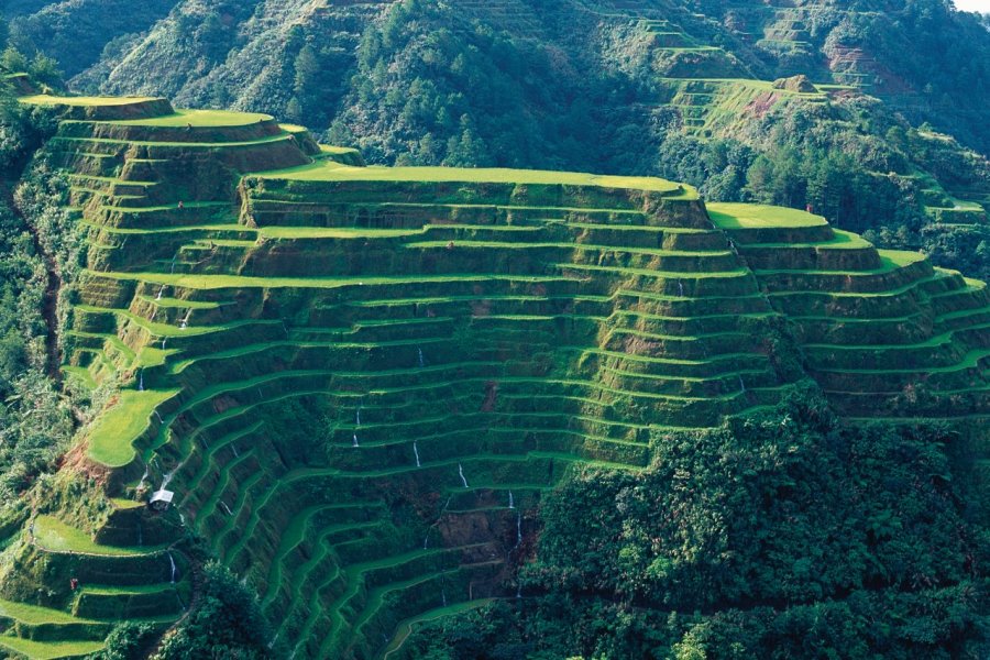 Rizières en terrasses de Banaue. Author's Image