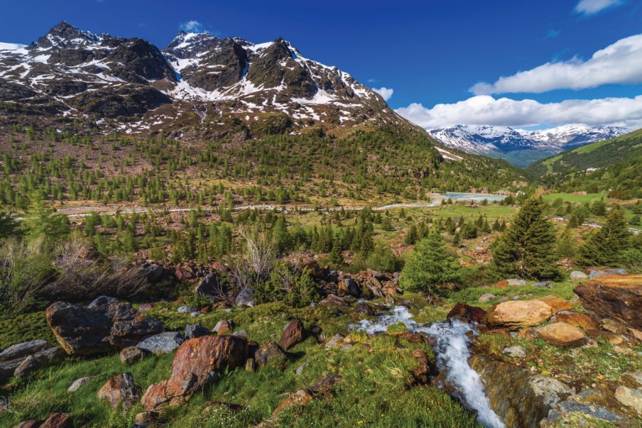 Parc national du Stelvio. agustavop -  iStockphoto.com