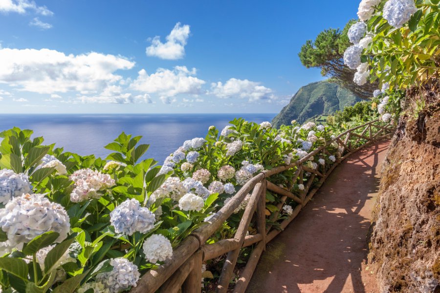 Sur l'île de São Miguel. peresanz - Shutterstock.com