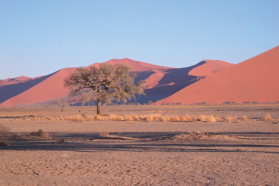 Dunes de Sossusvlei. Marie GOUSSEFF