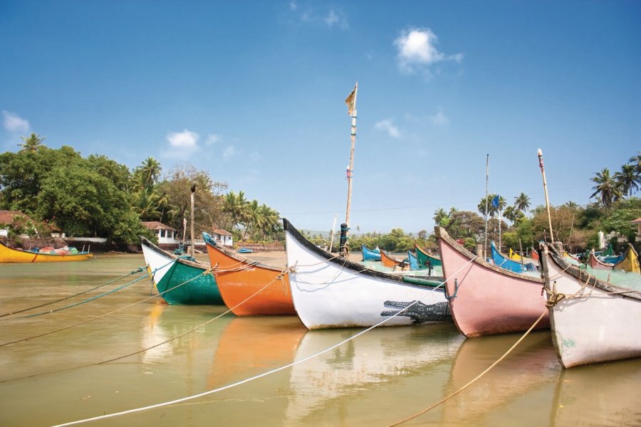 Barques de pêcheurs dans le delta de la rivière Baga. Aleksandar TODOROVIC - Fotolia