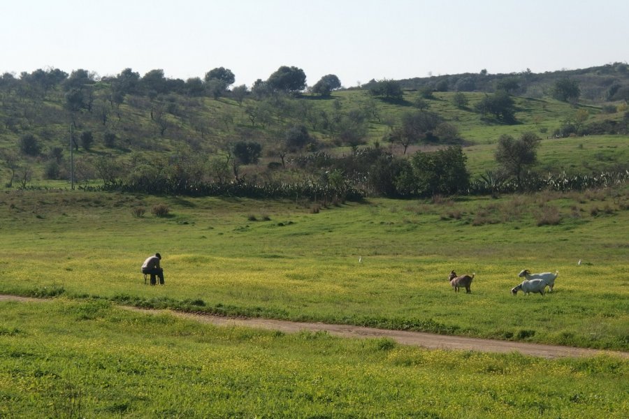 Paysage d'Algarve rurale. Maïlys ALBERTO