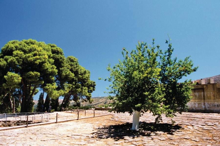 Cour pavée de l'entrée du site minoen de Cnossos. Author's Image