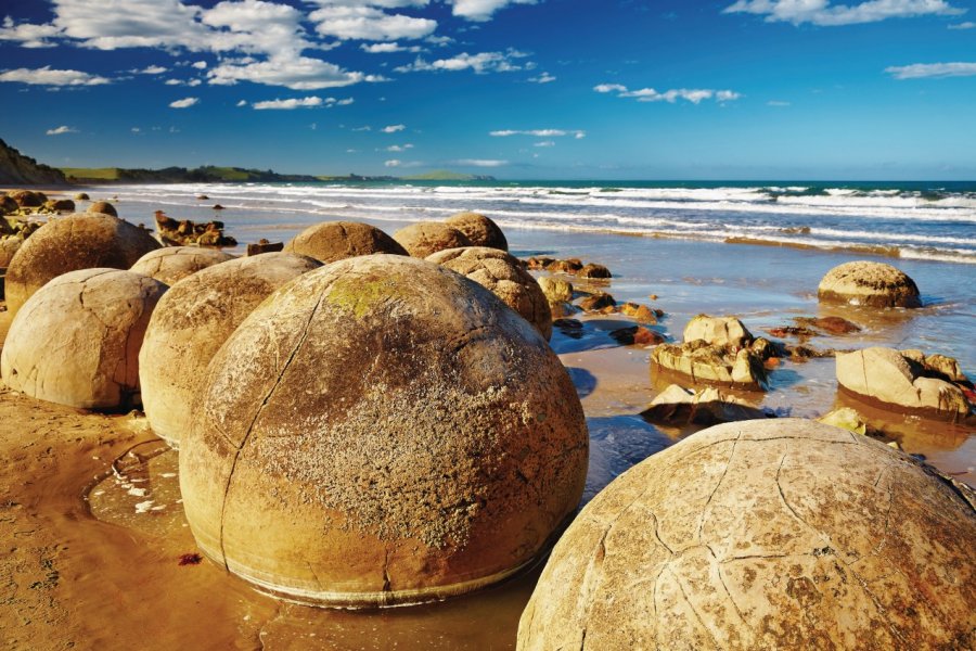 Moeraki Boulders. Dmitry Pichugin - Fotolia