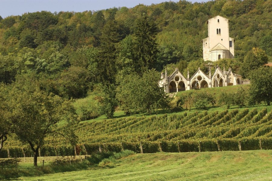 Vignoble des côtes de Toul F. Doncourt - JB Communication