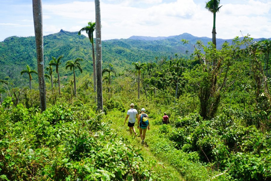 Randonnée près de El Yunque. Inspired By Maps - Shutterstock.com