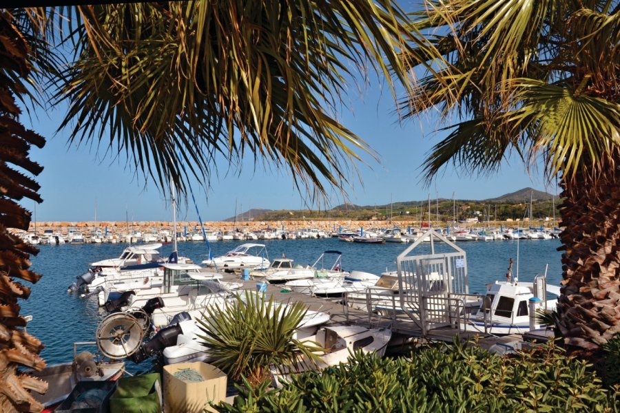 Argelès-sur-Mer. Musat - iStockphoto