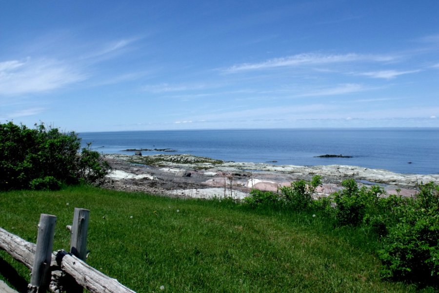 La rive du Saint-Laurent depuis la route 132. Anne MOY