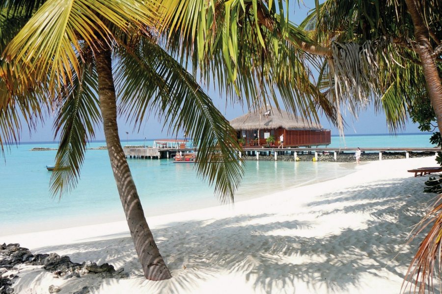 Plage de Maafushivaru. Beawolf - Fotolia