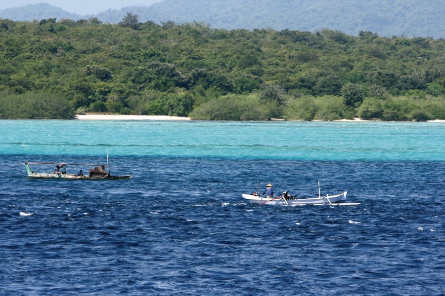 Le ferry longe les plages et les collines du parc national de l'Ouest de Bali. Stéphan SZEREMETA