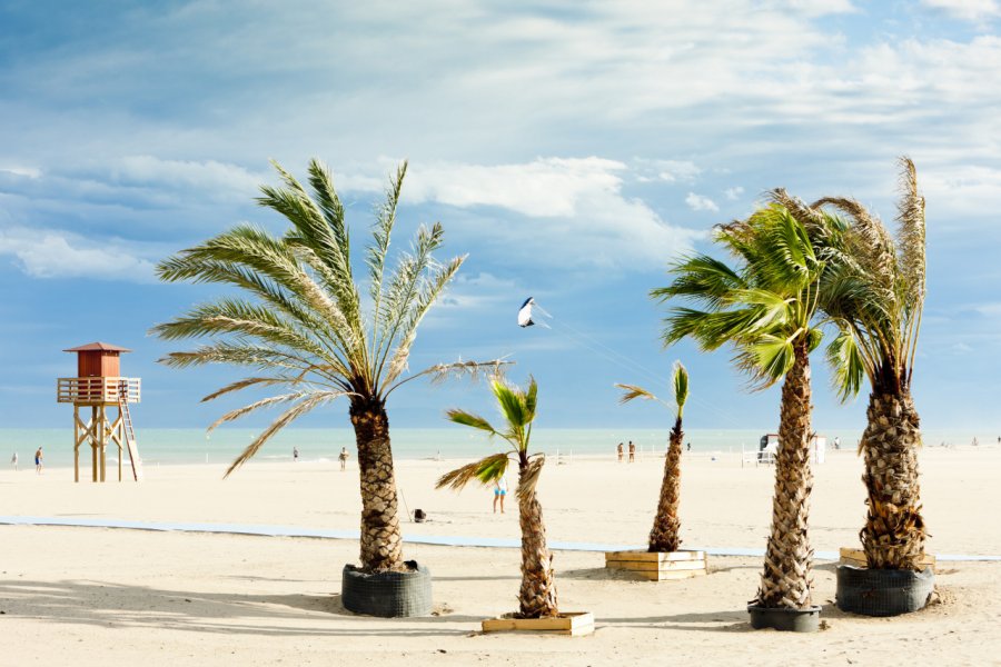 Le vent qui souffle sur la plage de Narbonne. Richard Semik - Shutterstock.com