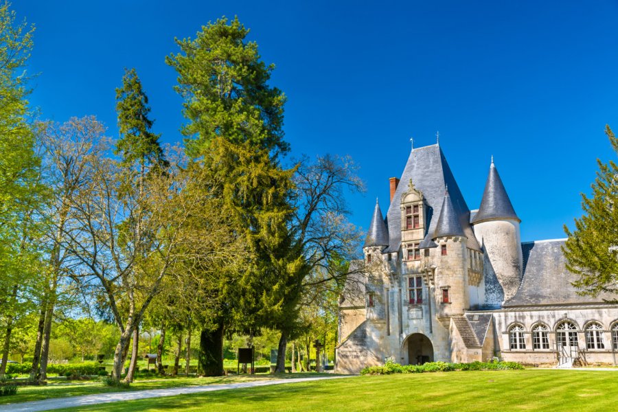 Château de Javarzay. Leonid Andronov - Shutterstock.com