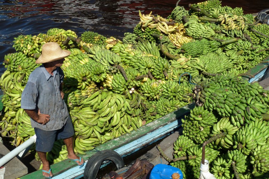 Marché de la banane à Manaus. guentermanaus - Shutterstock.com
