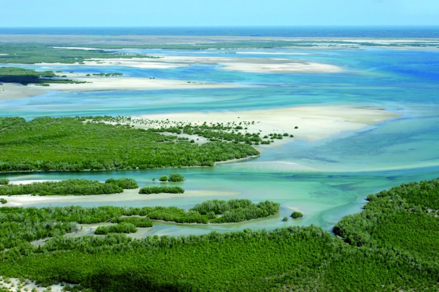 Côte du Mozambique. EcoView - Fotolia