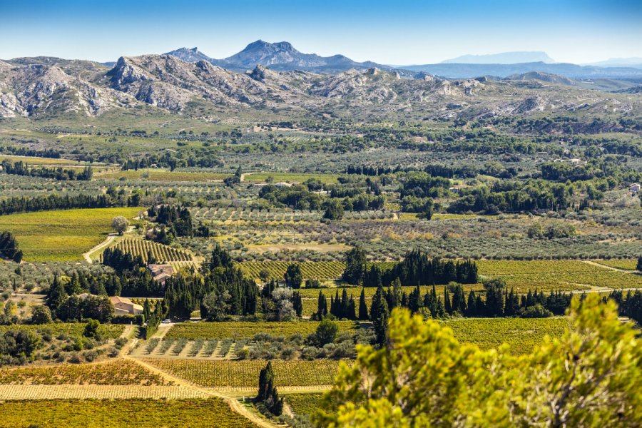 Chaine des Alpilles. Gerhard Roethlinger - Shutterstock.com