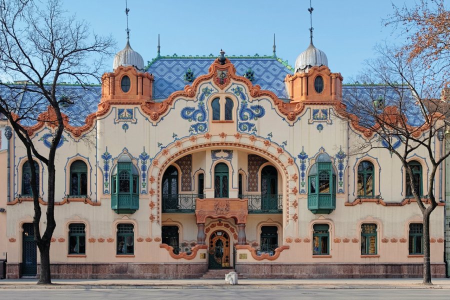 Palais Raichle à Subotica. Mikhail MARKOVSKIY - iStockphoto