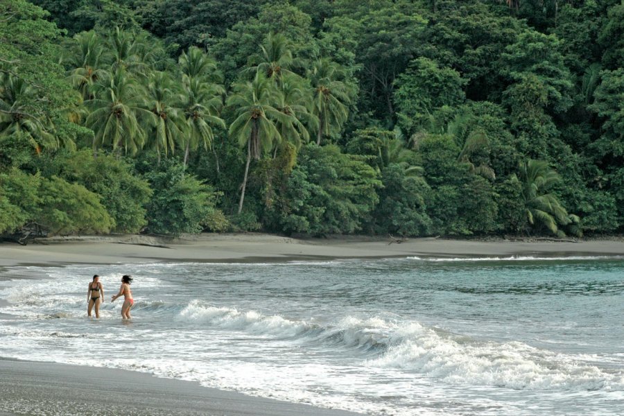 Plage de Manuel Antonio Pepeira, Tom - Iconotec