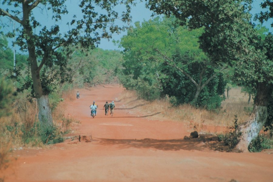 Environs de Banfora Morgane VESLIN