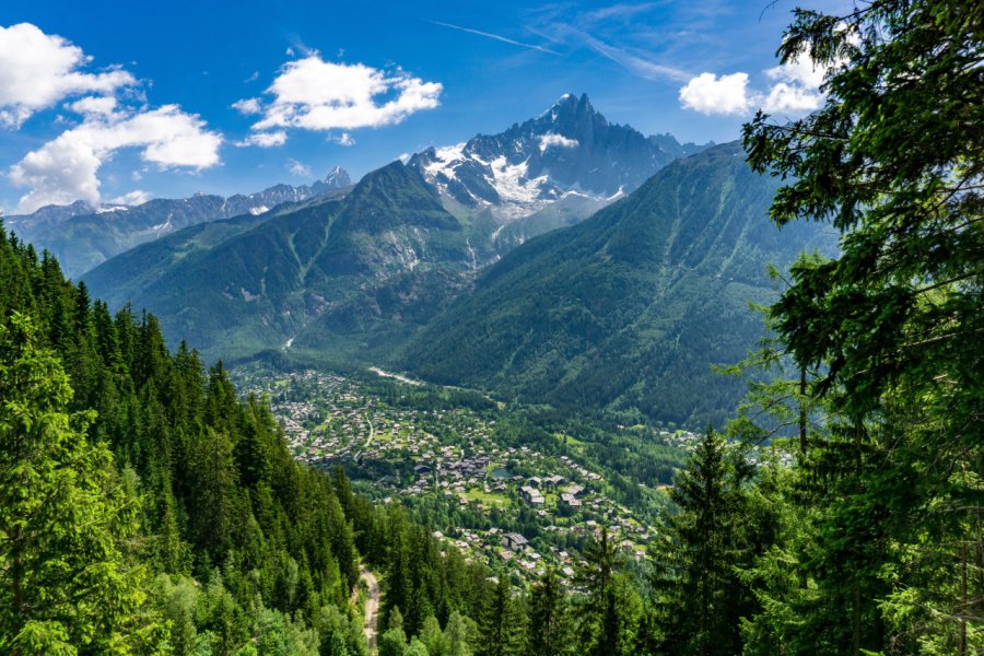 Vallée de Chamonix. Jacek Jacobi - stock.adobe.Com