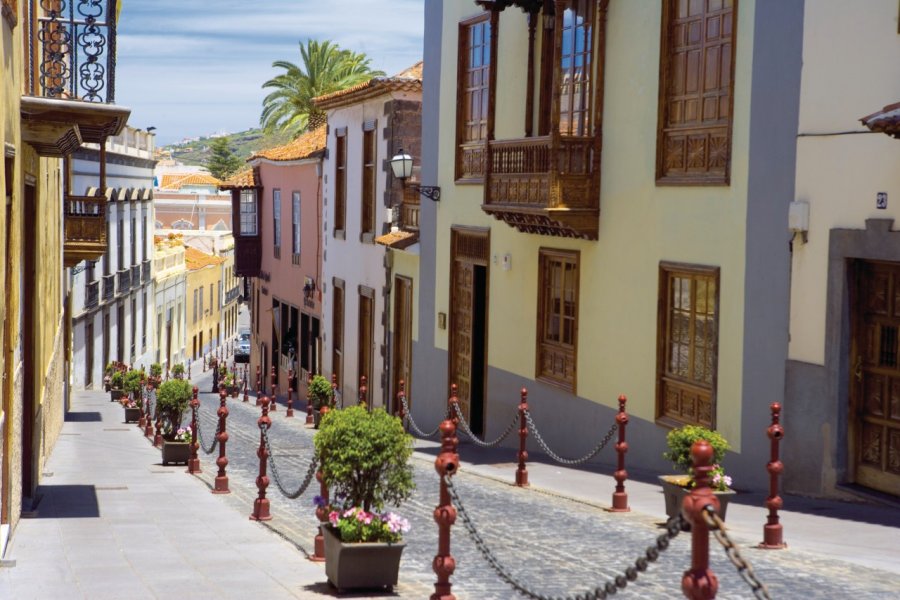 La Orotava. Author's Image