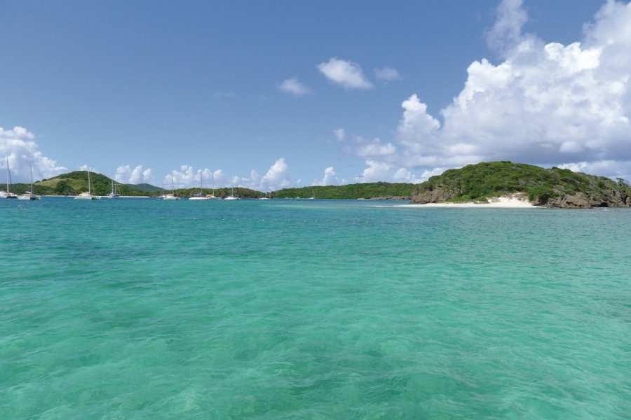 Tobago Cays. Jean Charles Dusanter