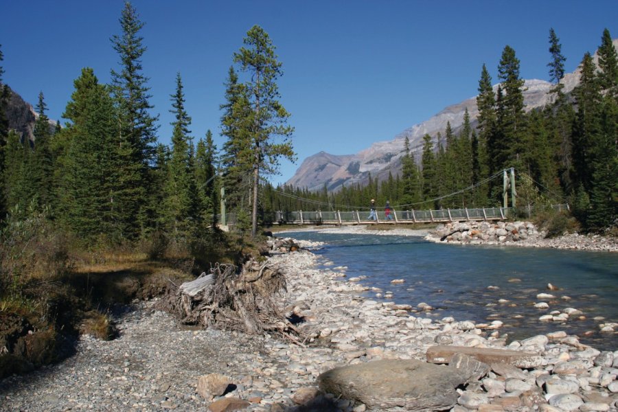 Randonneurs du Kootenay National Park QUILLE - iStockphoto.com